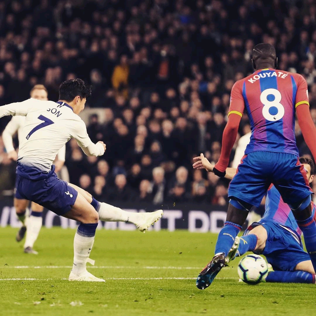 王楚钦以 王楚钦以